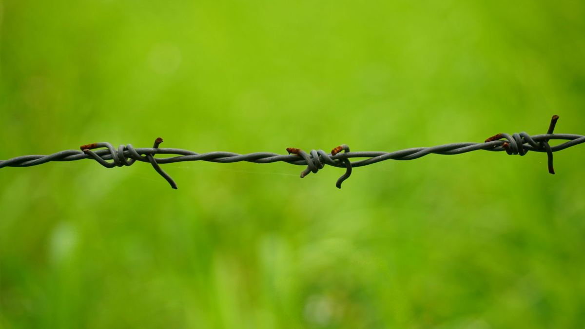 Setting Boundaries Between Work and Personal Life That Actually Hold